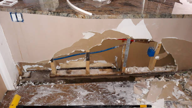 Best Flood restoration services  in Alamo, TX