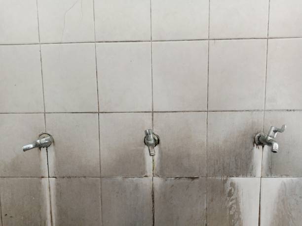 Best Emergency water extraction  in Alamo, TX