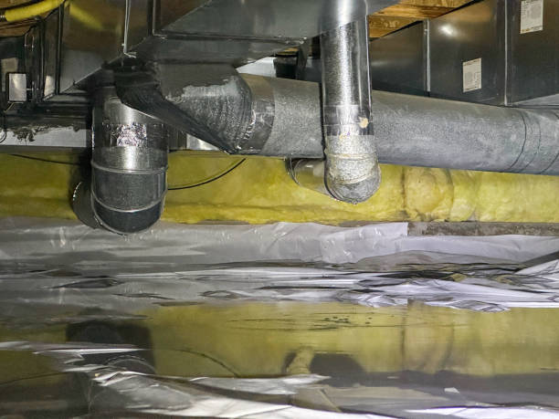 Best 24/7 water damage repair  in Alamo, TX