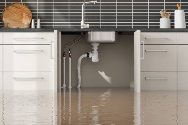 Best Water damage restoration company  in Alamo, TX